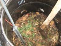 compost is transition