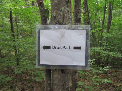 druidpath