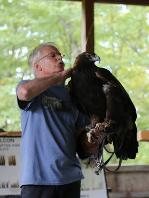Bill Streeter of the DVRC with a golden eagle. Photo courtesy John Beckett.
