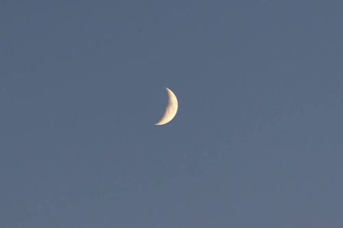 The crescent moon. Photo courtesy John Beckett