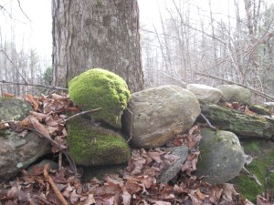 2moss-stones