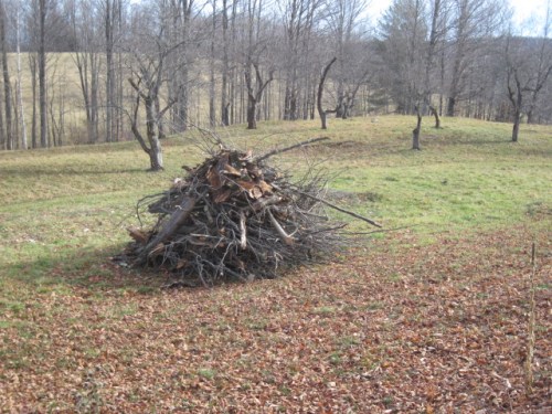 woodpile
