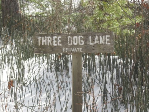 threedogpriv