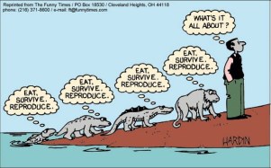 evolution-cartoon