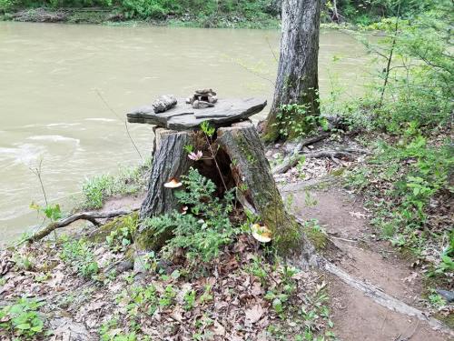 siding creek altar -- renu