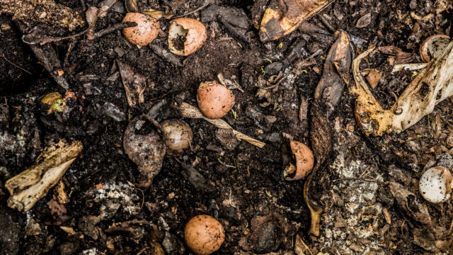 Food-scraps-compost-640x360