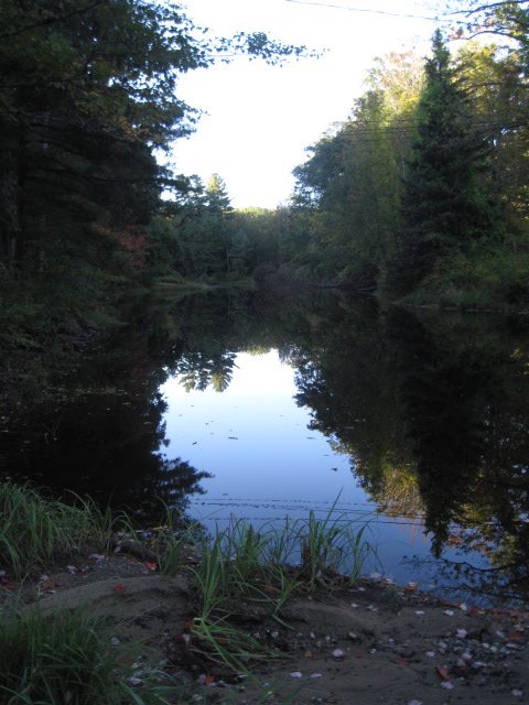 pond
