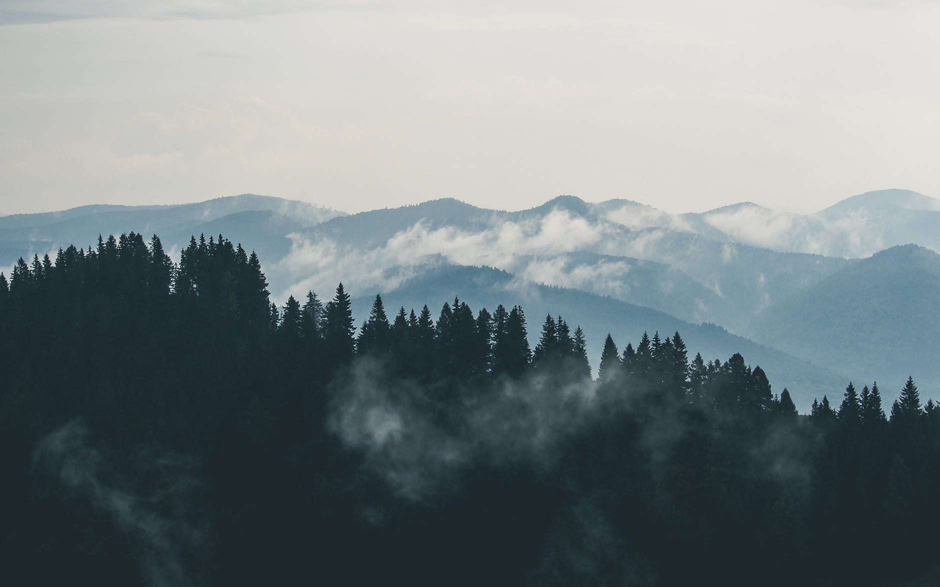 mountains-clouds-forest-fog