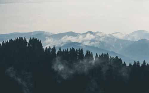 mountains-clouds-forest-fog