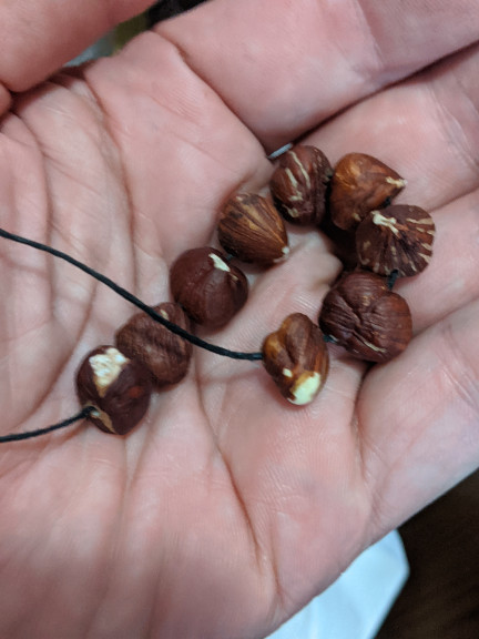 hazelnecklace